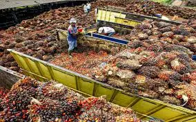 Malaysia May Palm Oil Exports Set for 4.8% Decline, Survey Shows