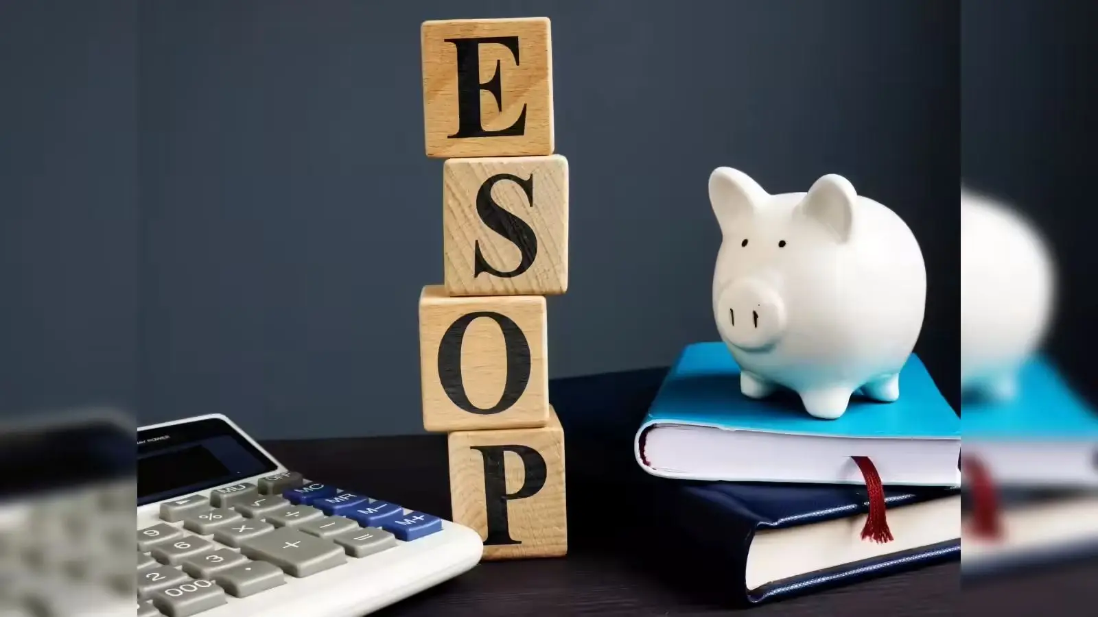 Four Essential Valuation Tests for Trading Salary for ESOPs