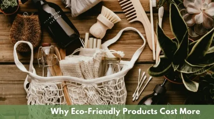 The Steep Price of Eco-Sustainability Strains Household Budgets