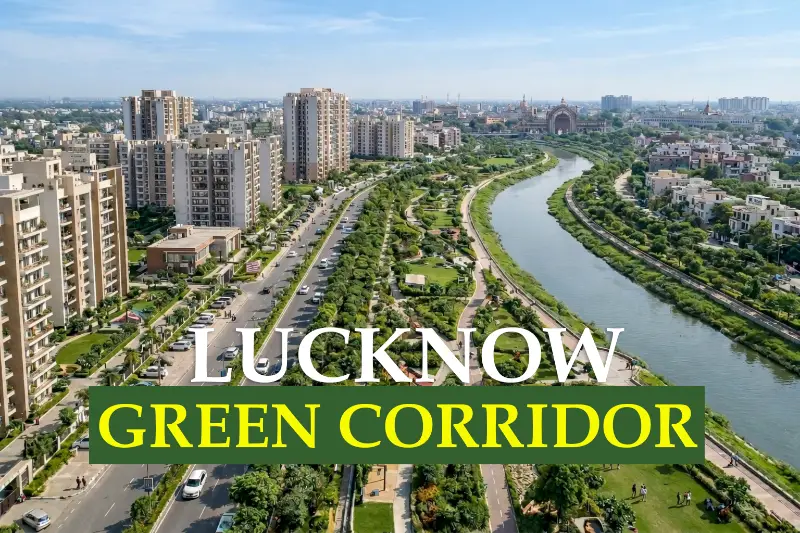 Translocated Trees Achieve 95% Survival Rate in Lucknow Green Project