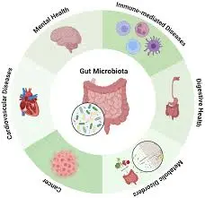 Scientific Advances Confirm Gut Health Drives Systemic Immunity