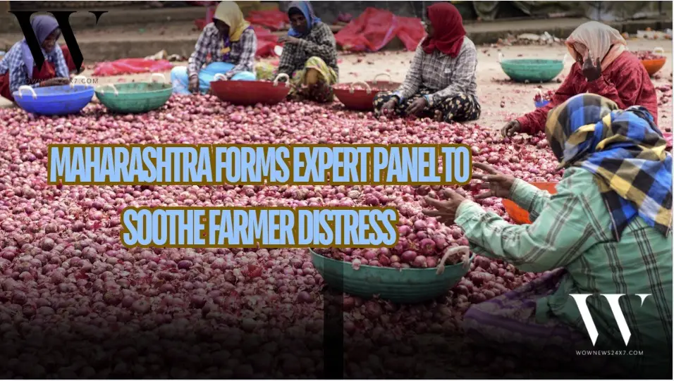 Maharashtra Forms Panel to Resolve Onion Market Crisis