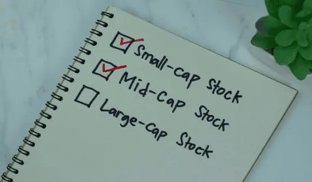 Analysts Project 25% Plus Returns for Select Mid and Large Cap Stocks