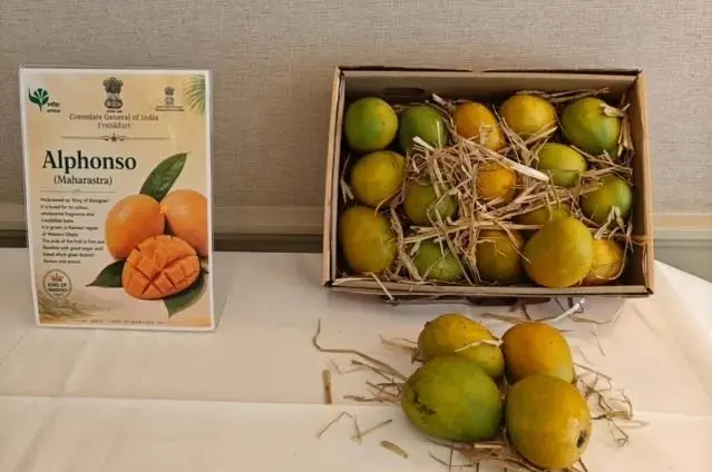 India Organises Grand Mango Festival in Frankfurt to Boost Exports