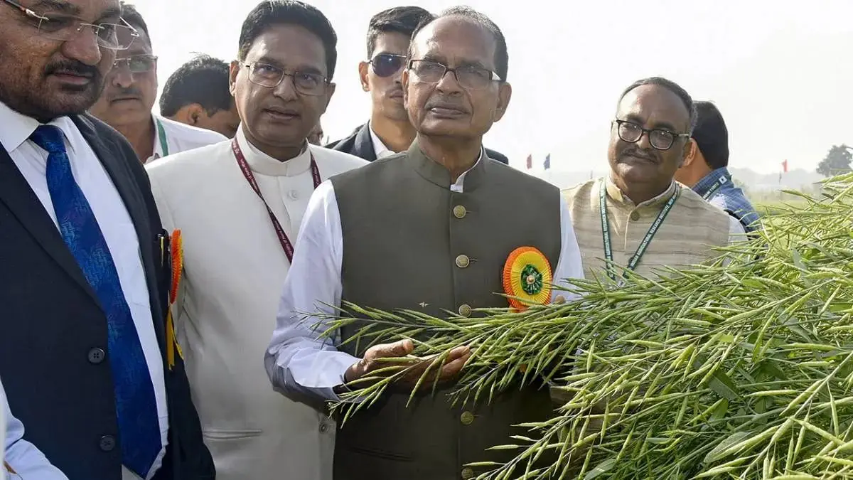 Dried Out: El Niño Threatens 'Relatively Severe' Hit to 12 Indian States