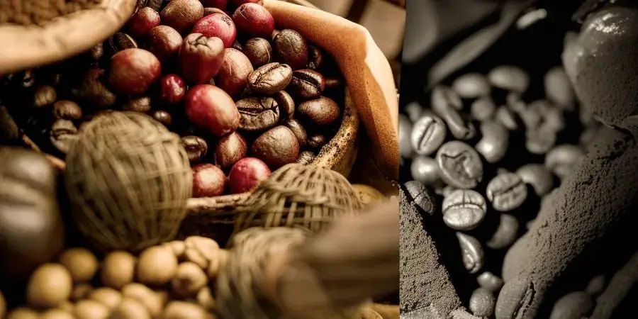 Blowing Hot and Cold: Strong El Niño Leaves Tropical Commodities Exposed