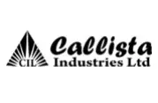 Callista Industries Approves Massive 26.9 Million Share Security Issue