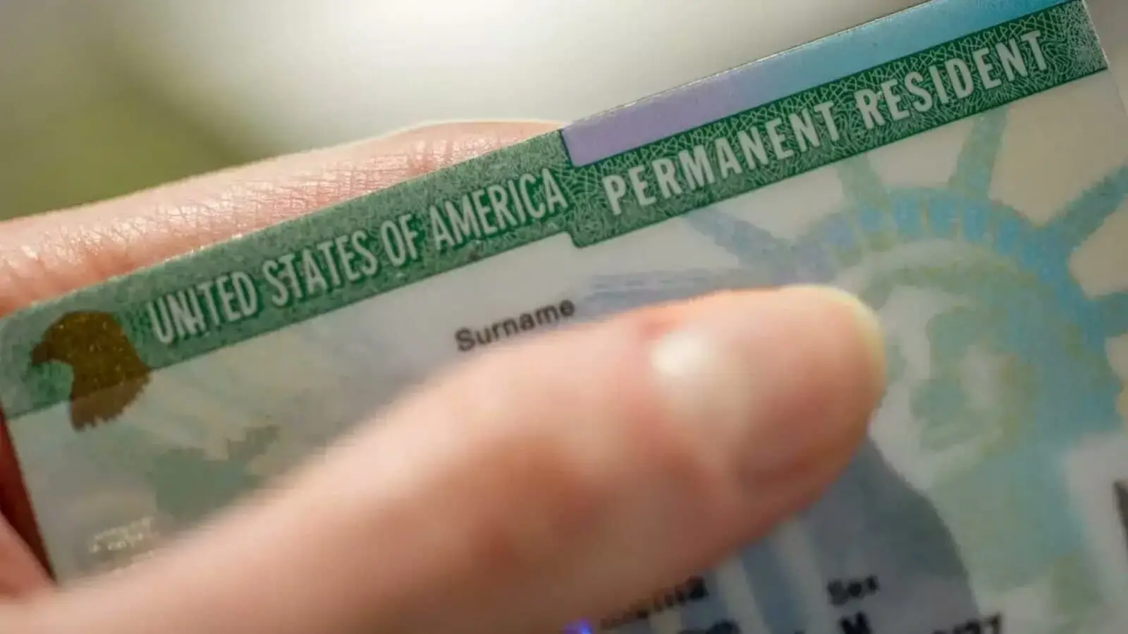 Rupee Realities: Green Card Layoff Sparking ₹6 Crore India Return Debate