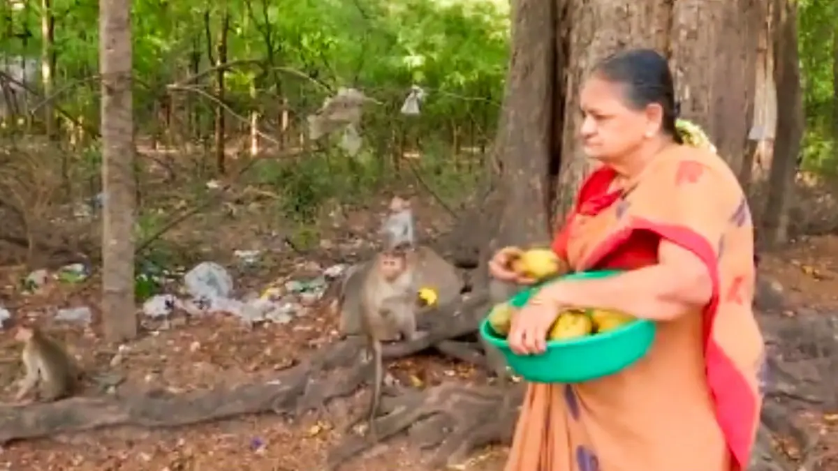 Retired Madurai Police Officer Spends Pension to Feed Hungry Monkeys