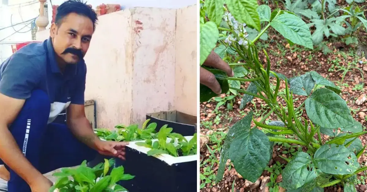 From Doubts to Bounty: Vijay Sharma’s Urban Gardening Success