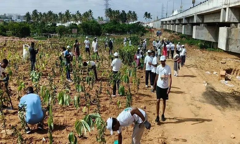 Bengaluru Sets Guinness World Record by Planting 1.5 Million Saplings