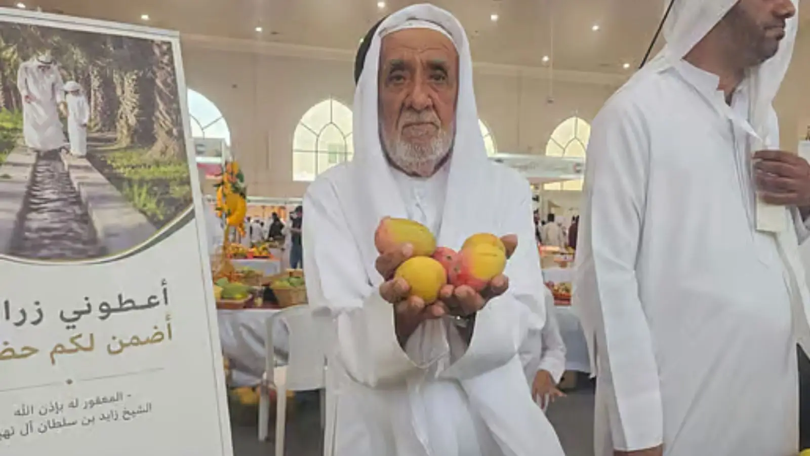 Desert Gold: Emirati Farmer Cultivates 50-Year Mango Legacy