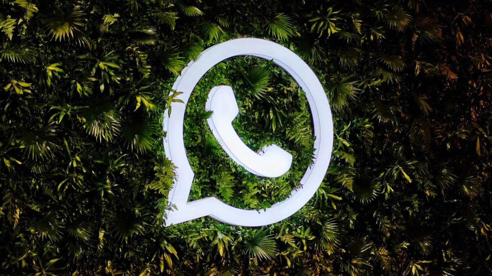 WhatsApp Unlocks Usernames: Privacy Takes Center Stage