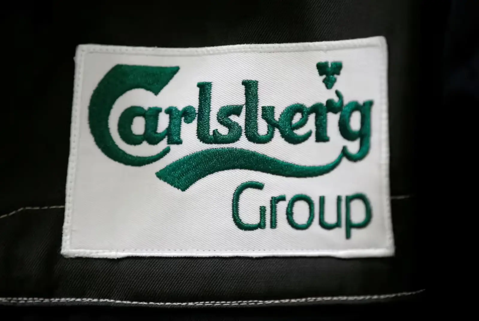 Carlsberg Prepares $700 Million IPO for India Unit