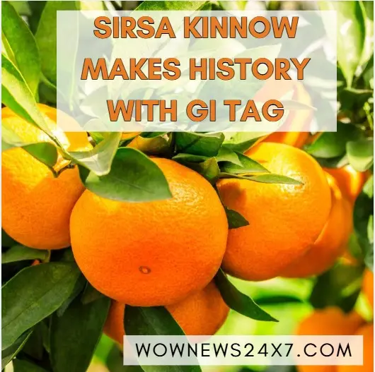 Sirsa Kinnow Secures Prestigious Geographical Indication (GI) Tag