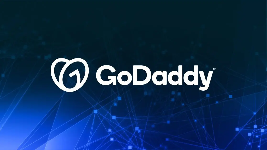 GoDaddy Challenges Delhi High Court Order on Website Registration