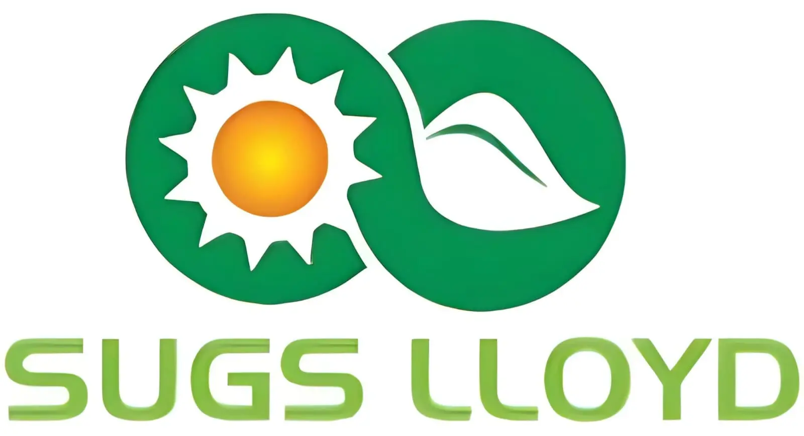 Sugs Lloyd Bags Rs 3.37-Crore Madhya Pradesh Power Contract