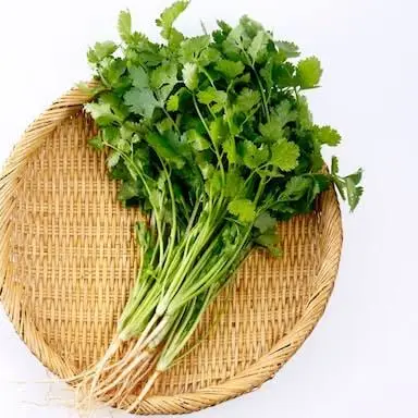 Culinary Sustainability: Why Experts Urge Consumers to Use Coriander Stems