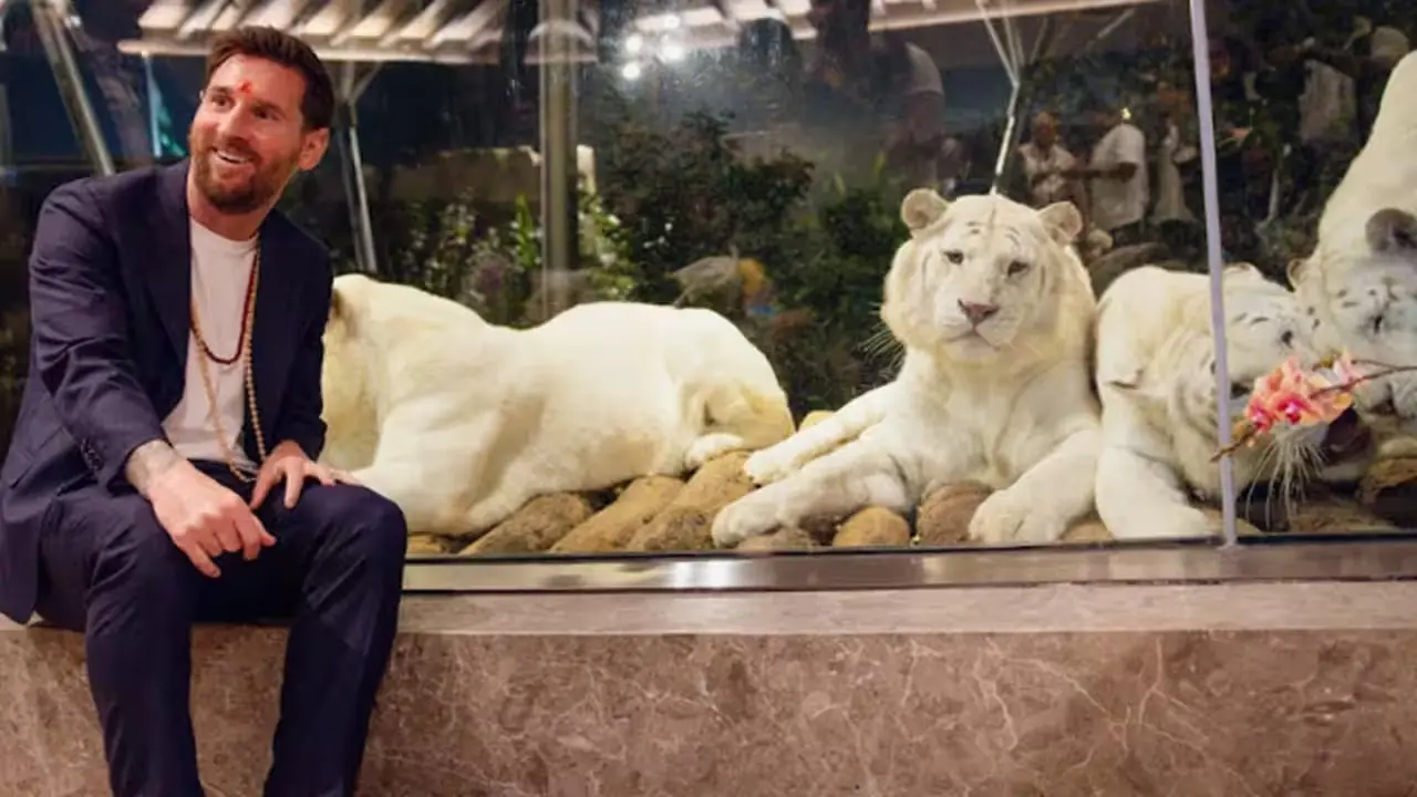 Lion Cub Named 'Lionel' Honors Messi During Vantara Visit
