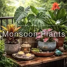Thriving Gardens: Best Monsoon Plants for Indian Homes