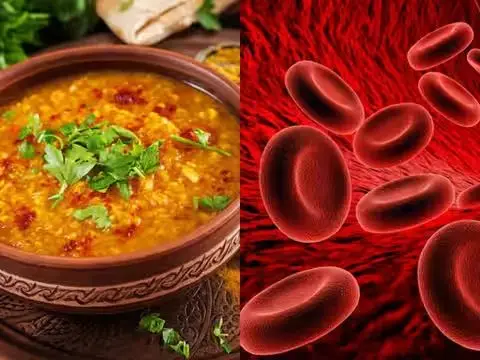 Iron Intake: 7 Essential Foods to Boost Your Daily Levels