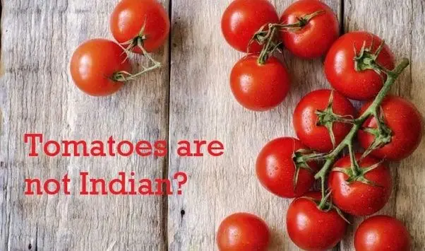 Tomato Tales: The Global Roots of an Indian Kitchen Staple