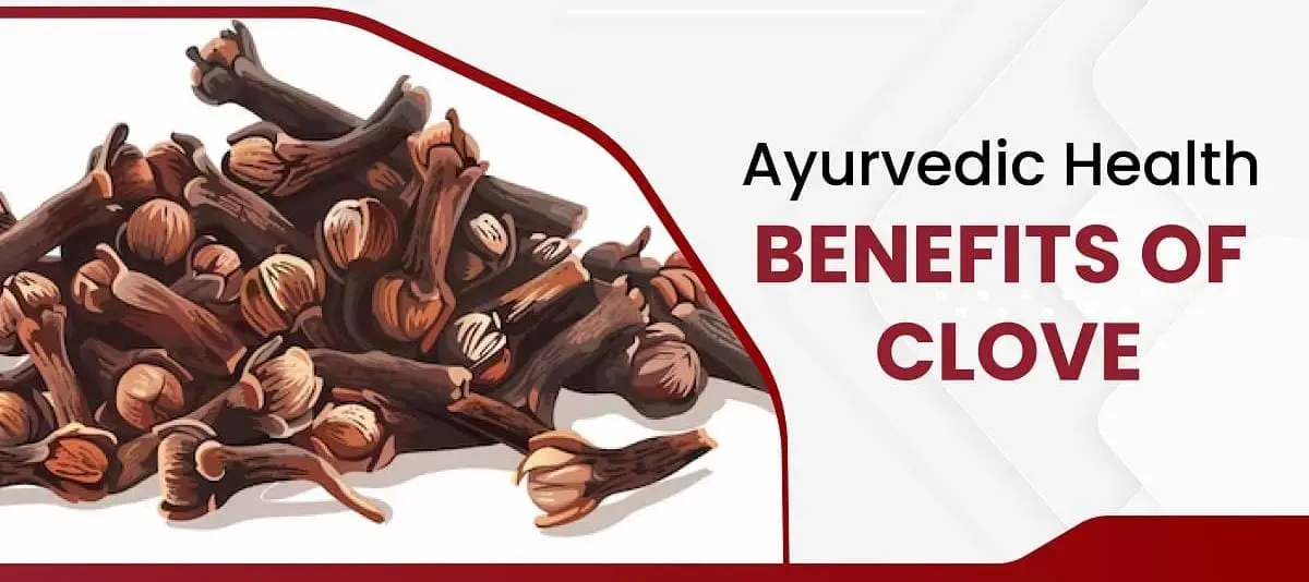 Ministry of Ayush Validates Ayurveda's Take on Cloves for Health