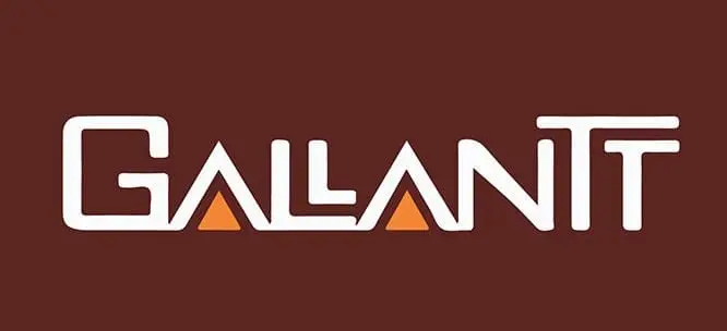 Gallantt Ispat CFO Pradyumna Kumar Satpathy Resigns