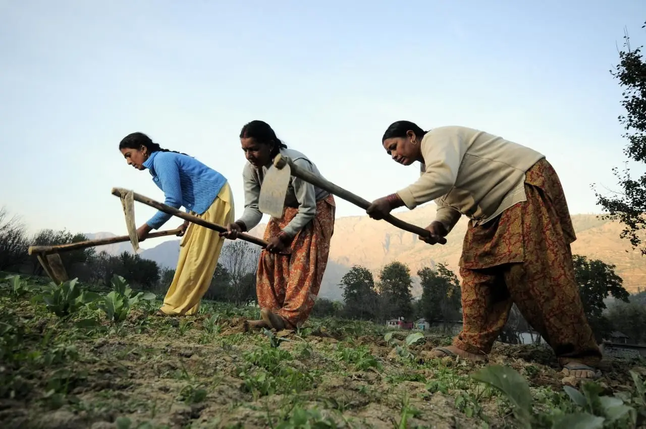 Sowing Success: India’s Empowered Women Farmers