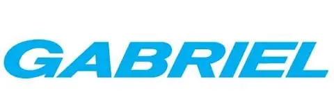 Gabriel India Board Meeting to Discuss Share Issue and Q1 Results