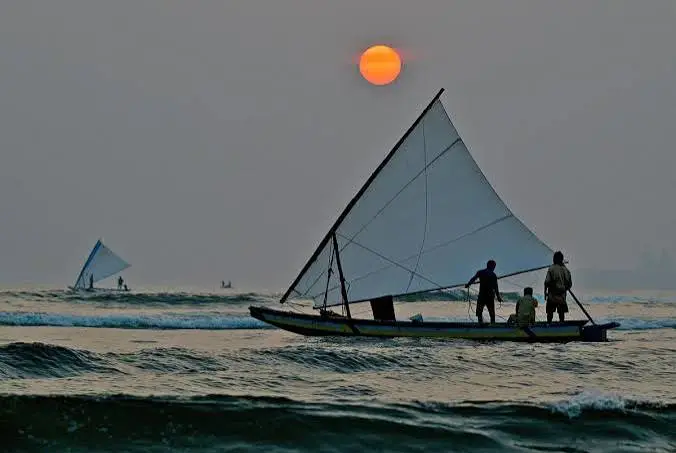From Intuition to Orbit: How Satellites Are Transforming Fishing
