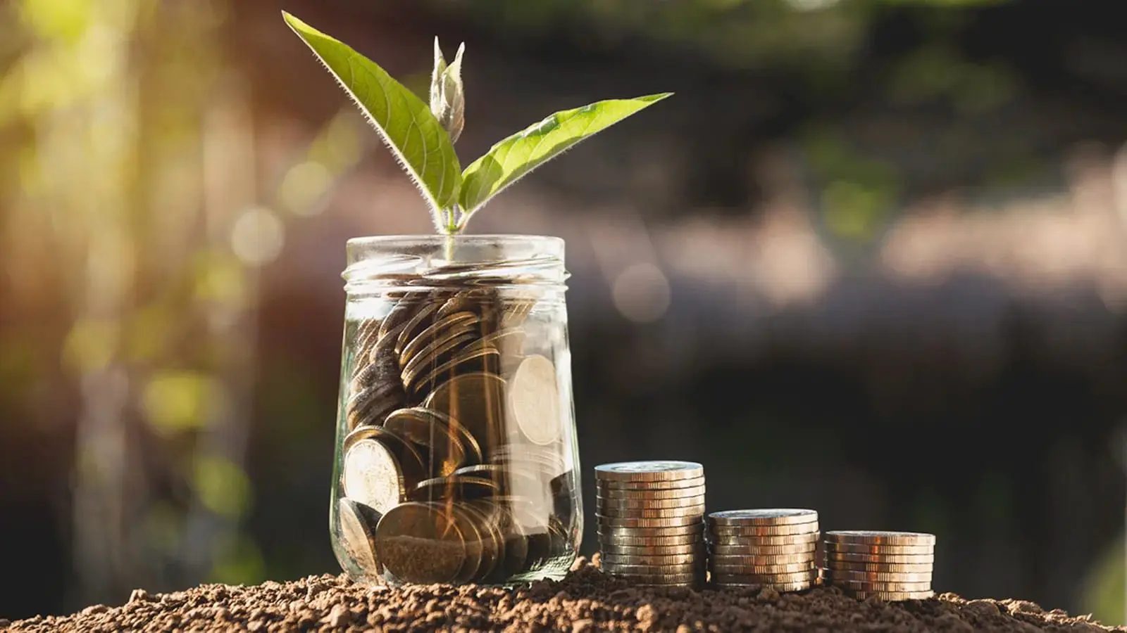 How Much to Save Monthly to Build a ₹1 Crore Corpus