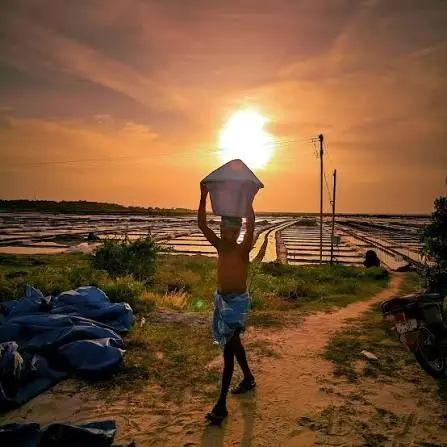 Unseasonal Rains Disrupt Production in Marakkanam Salt Pans