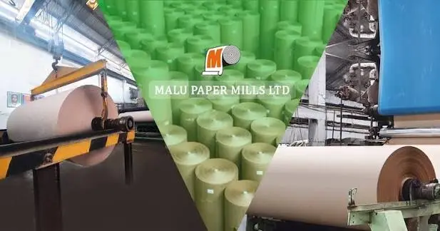 Malu Paper Mills Posts ₹1.23 Billion Revenue in June Quarter