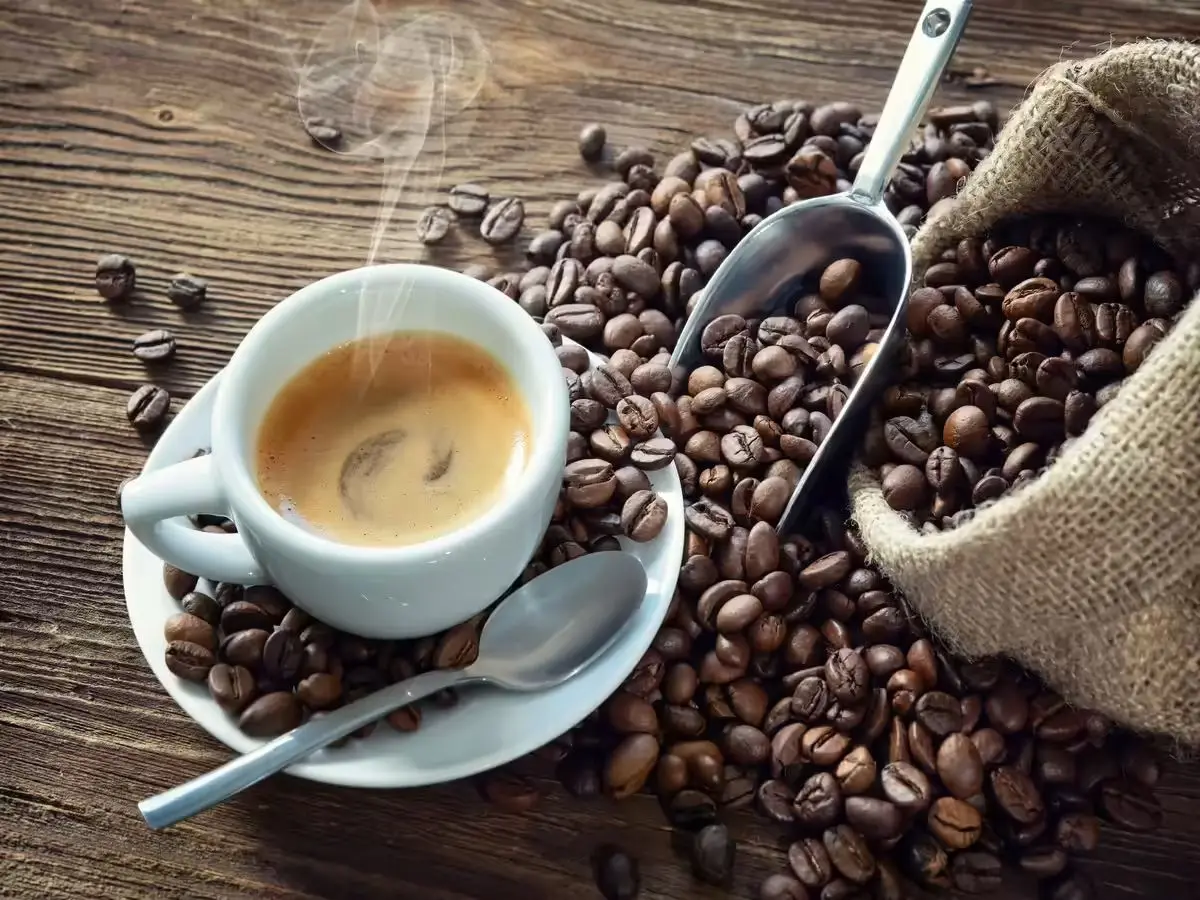 Fresh Brew, Fresh Lifestyle: India’s Premium Coffee Boom