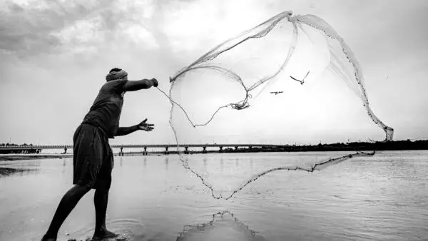 Why Is Bengal’s Gold Standard Fish Swimming Away From Kolkata Markets?
