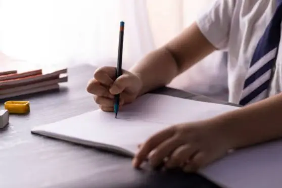 West Bengal Panel Formed to Overhaul Curriculum
