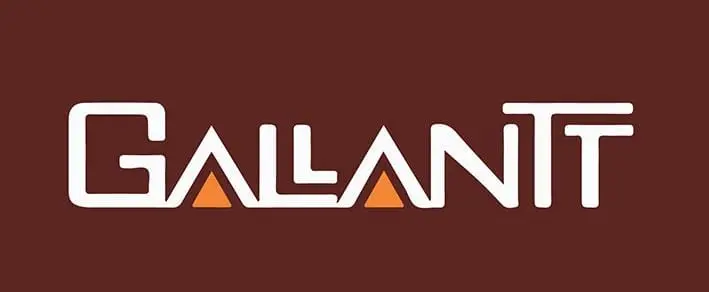 Gallantt Ispat Appoints Amit Jalan as New CFO and KMP