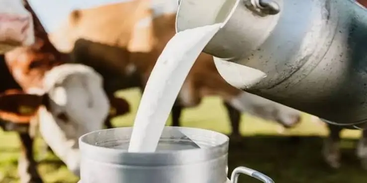 India Is Quietly Building Something That Could Transform the Dairy Industry