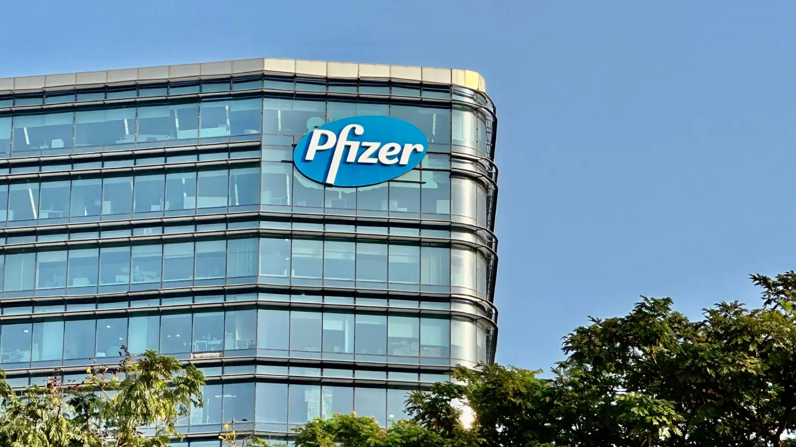 Pfizer Ltd June Quarter Results: Profit Hits ₹2.04 Billion