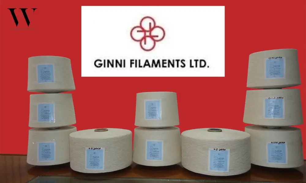 Ginni Filaments Q1 Financial Results: Revenue Hits ₹1.03B