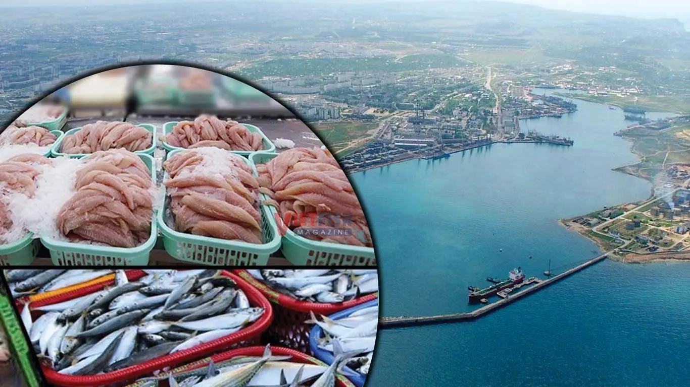 Making Waves in Global Trade: How One Port Dominates India's Multi-Billion Dollar Seafood Industry