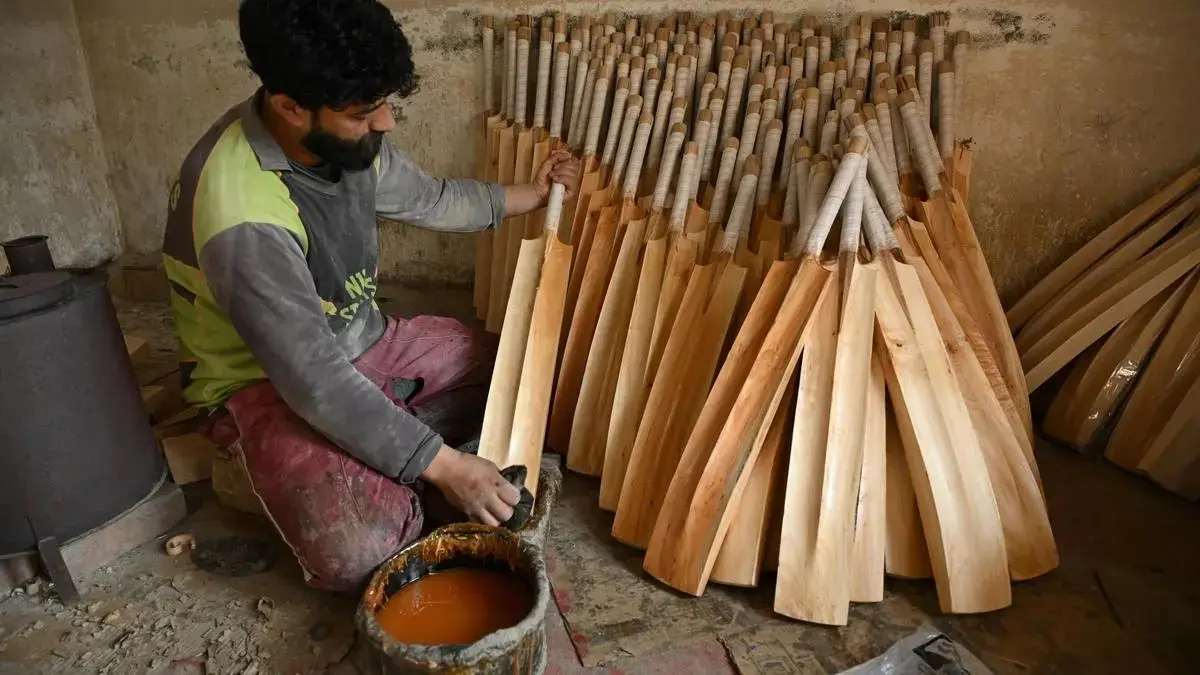 Out of Bounds: Why Kashmir's Famous Bat Industry is Desperately Seeking a Lifeline