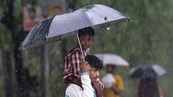 IMD Issues Red Alert as Heavy Rain Hits Vadodara, Narmada, and Tapi