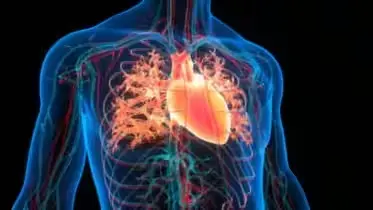 3 Small Changes After 8 PM That Can Dramatically Lower Your Blood Pressure, According to Dr. Sanjay Bhojraj