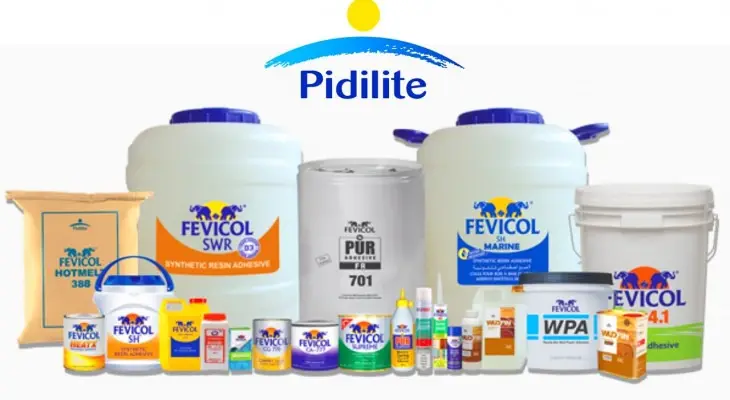 Pidilite Industries Q1 Profit Reaches ₹8.72 Billion