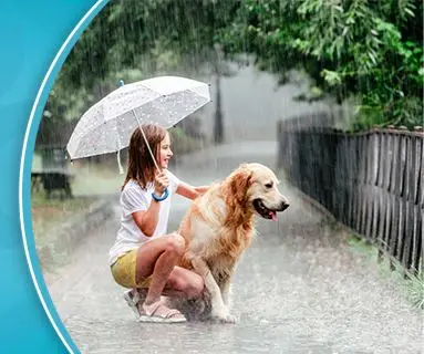 Is Your Rainy Season Routine Making Your Four-Legged Best Friend Sick?