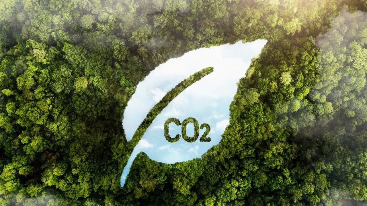 Can India’s Carbon-Sink Target Survive Without a Radical Land-Accounting Revolution?