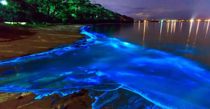 When Night Falls, These 7 Places in India Begin to Glow Like Magic