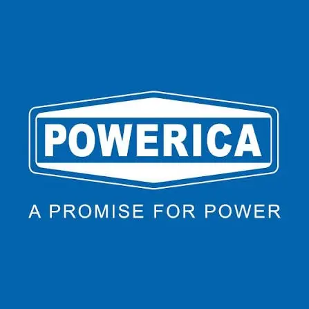 Green Horizons Ahead: Powerica Secures 100 MW SECI Wind Mandate